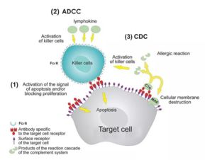 DELFIA经典技术应用于单抗研发及细胞治疗 AD0116细胞杀伤专题之ADCC